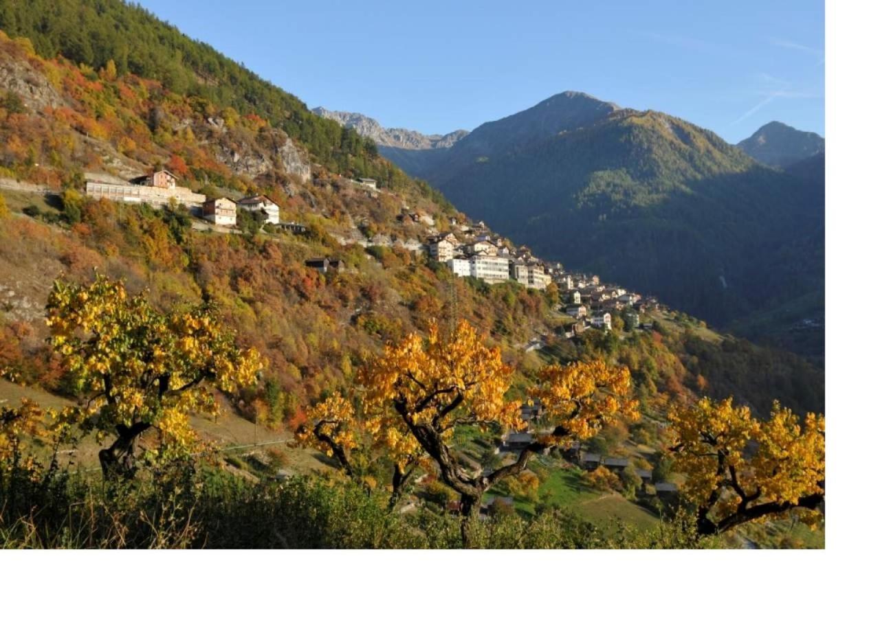 Le Cocon Du Catogne Proche Martigny Verbier - Netflix - Valettes Eksteriør bilde