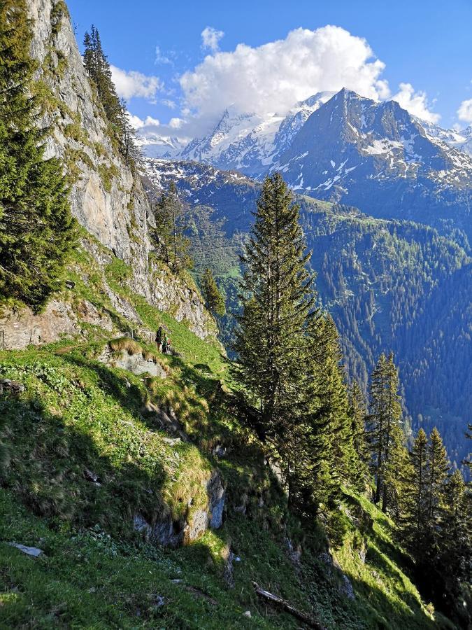 Le Cocon Du Catogne Proche Martigny Verbier - Netflix - Valettes Eksteriør bilde