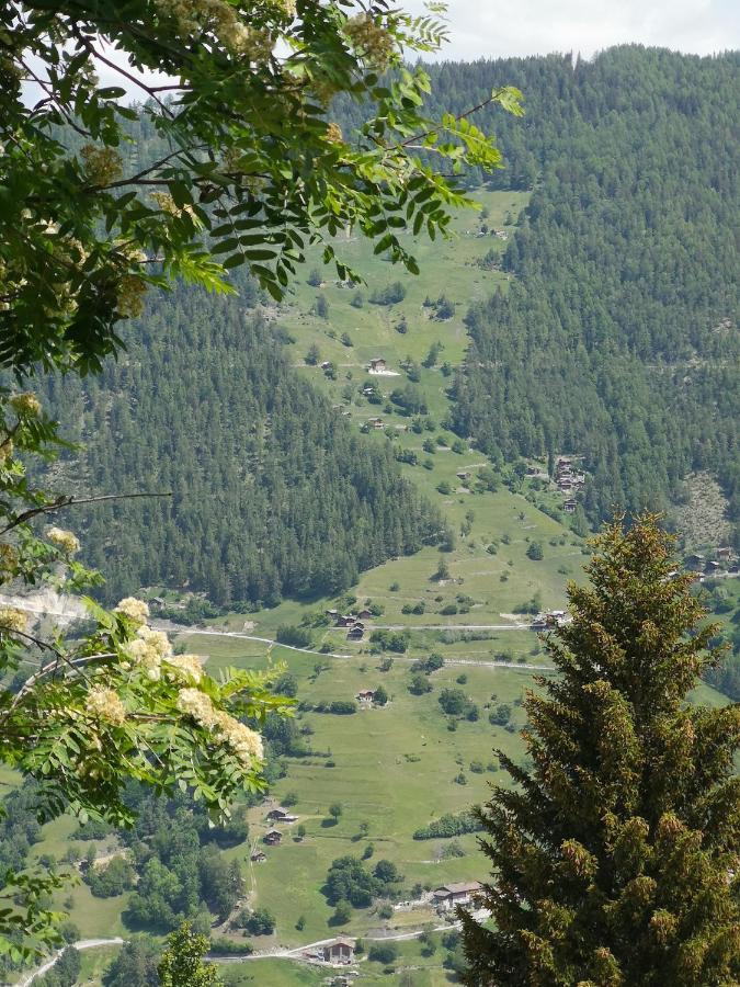 Le Cocon Du Catogne Proche Martigny Verbier - Netflix - Valettes Eksteriør bilde